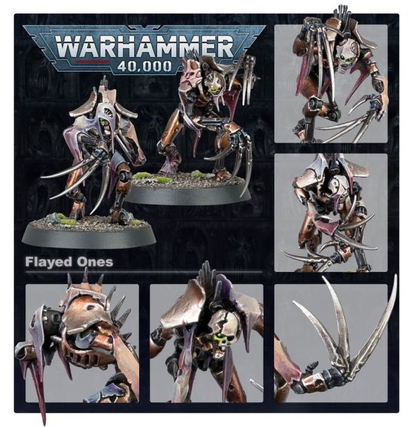 Warhammer 40K: Necrons: Flayed Ones - Image 2