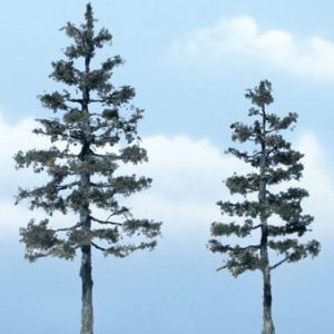 Woodland Scenics Ready-Made Premium Trees Pine
