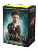 Dragon Shield Sleeves: Standard Matte Art Wizarding World - Harry Potter 100CT