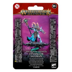 Tzaangor Shaman